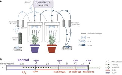 Tropospheric Ozone Alters the Chemical Signal Emitted by an Emblematic Plant of the Mediterranean Region: The True Lavender (Lavandula angustifolia Mill.)